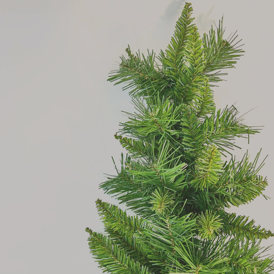 CHRISTMAS TREES--IN STORE PICKUP ONLY--NOT ABLE TO SHIP