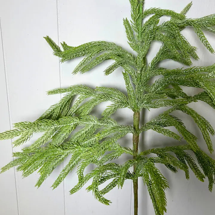 Eastern Norfolk Pine Spray 36” | XJ