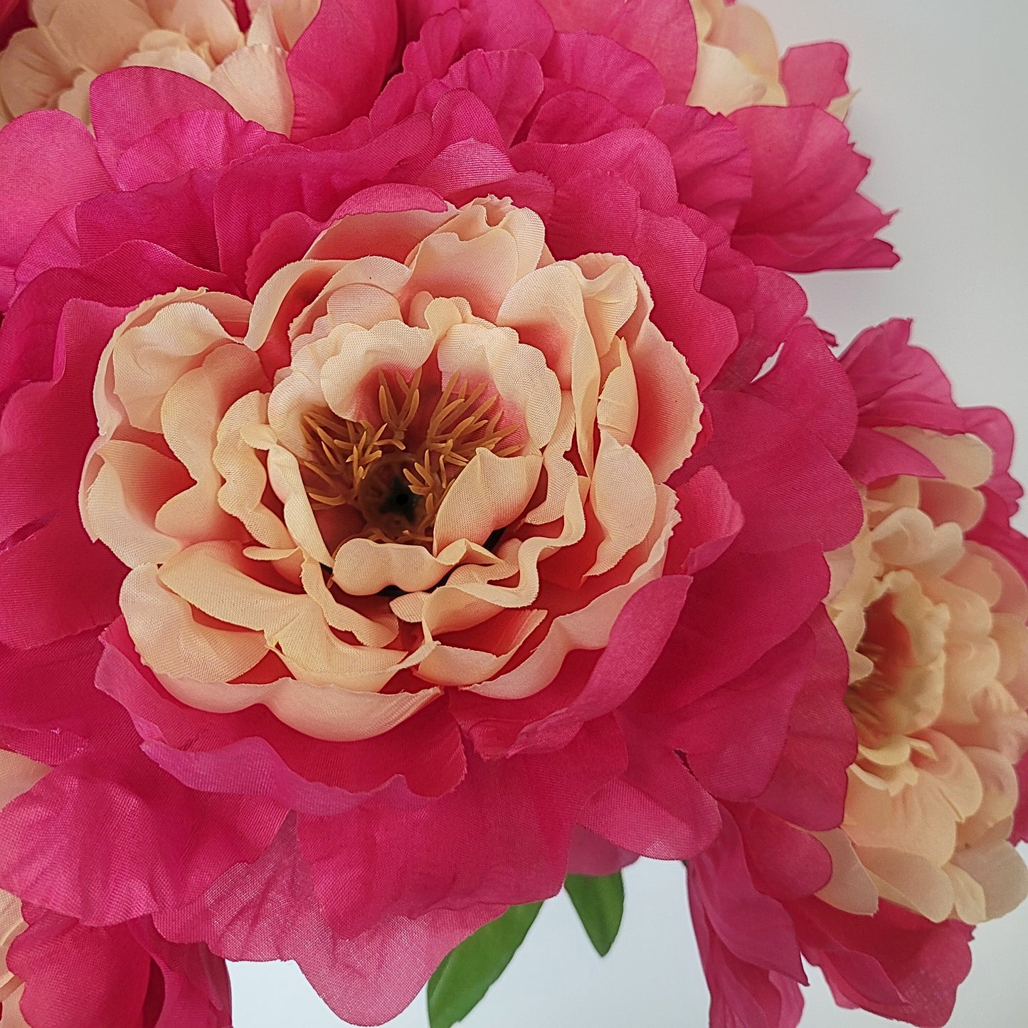Peony Bush x 7 Blooms Hot Pink/Beige 18" | CZE