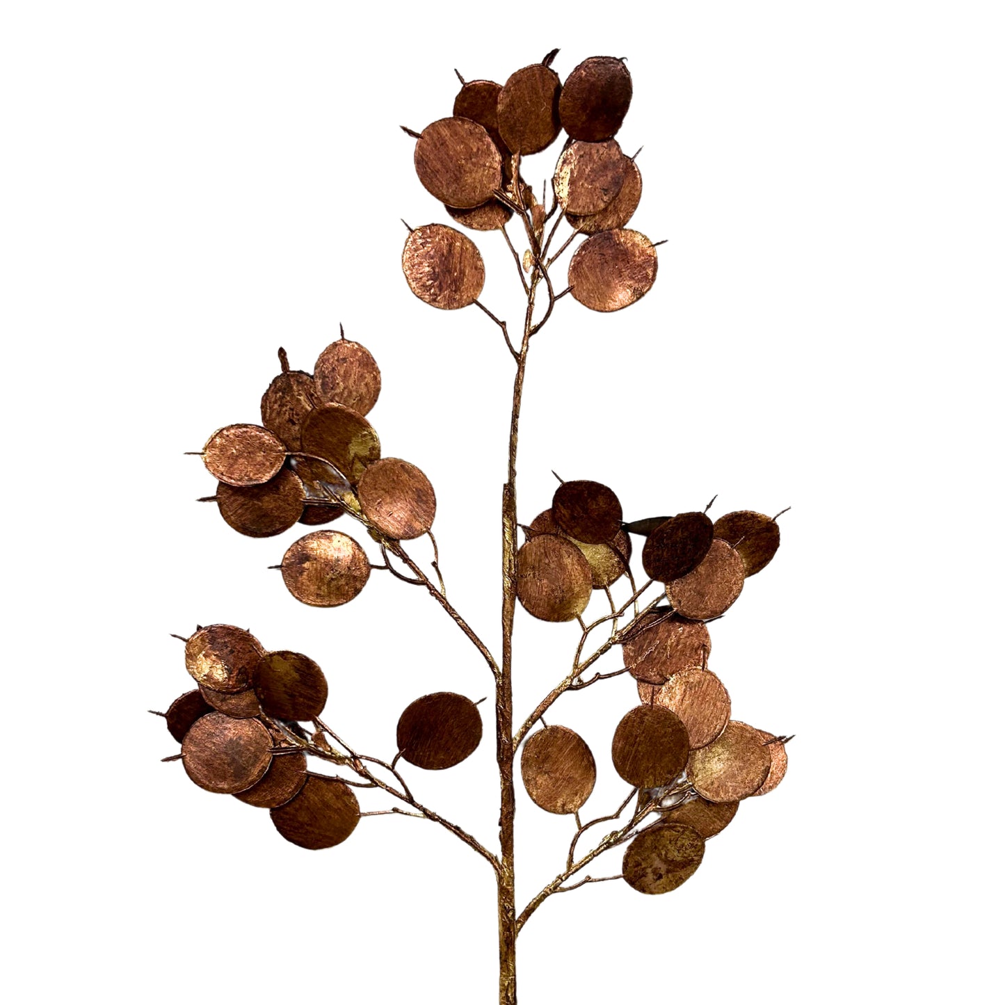 24" Metallic Dollar Eucalyptus Spray in Gold | XJ