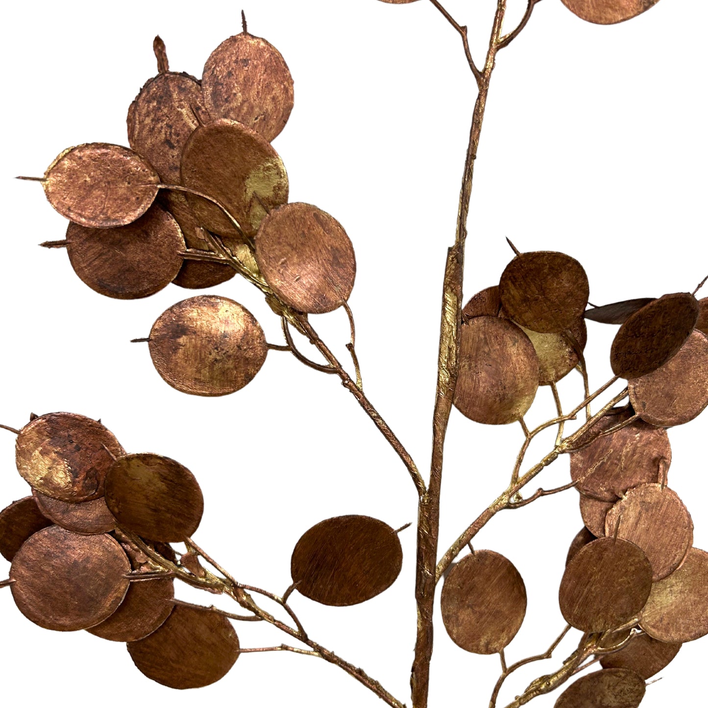 24" Metallic Dollar Eucalyptus Spray in Gold | XJ