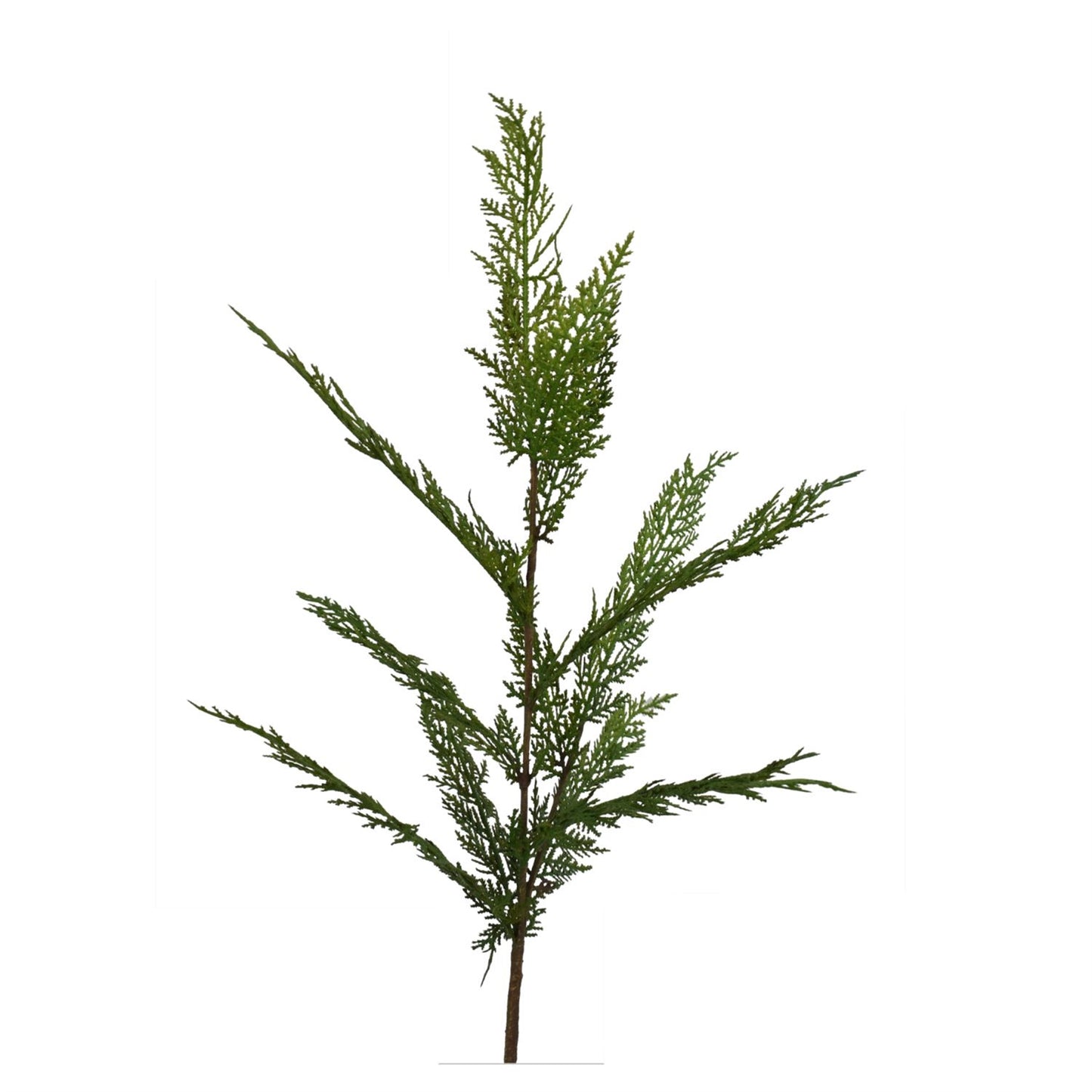 34” Selaginella Fresh Touch Cedar Spray | XJ