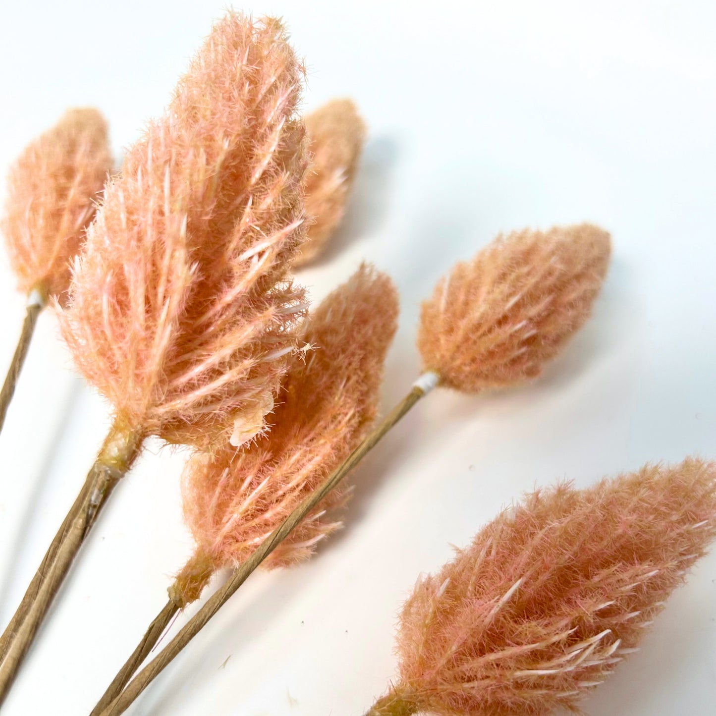 AMARANTH PICK BUNDLE X 7 - PINK | QSE