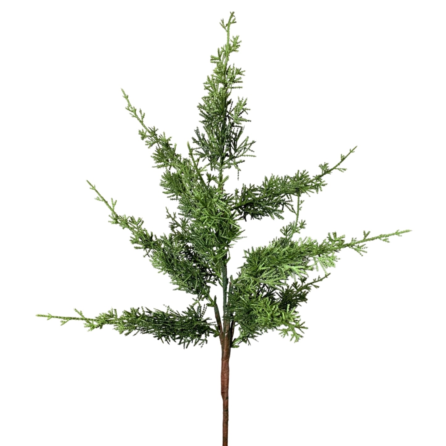 Eastern Cypress Spray 32" | XJ