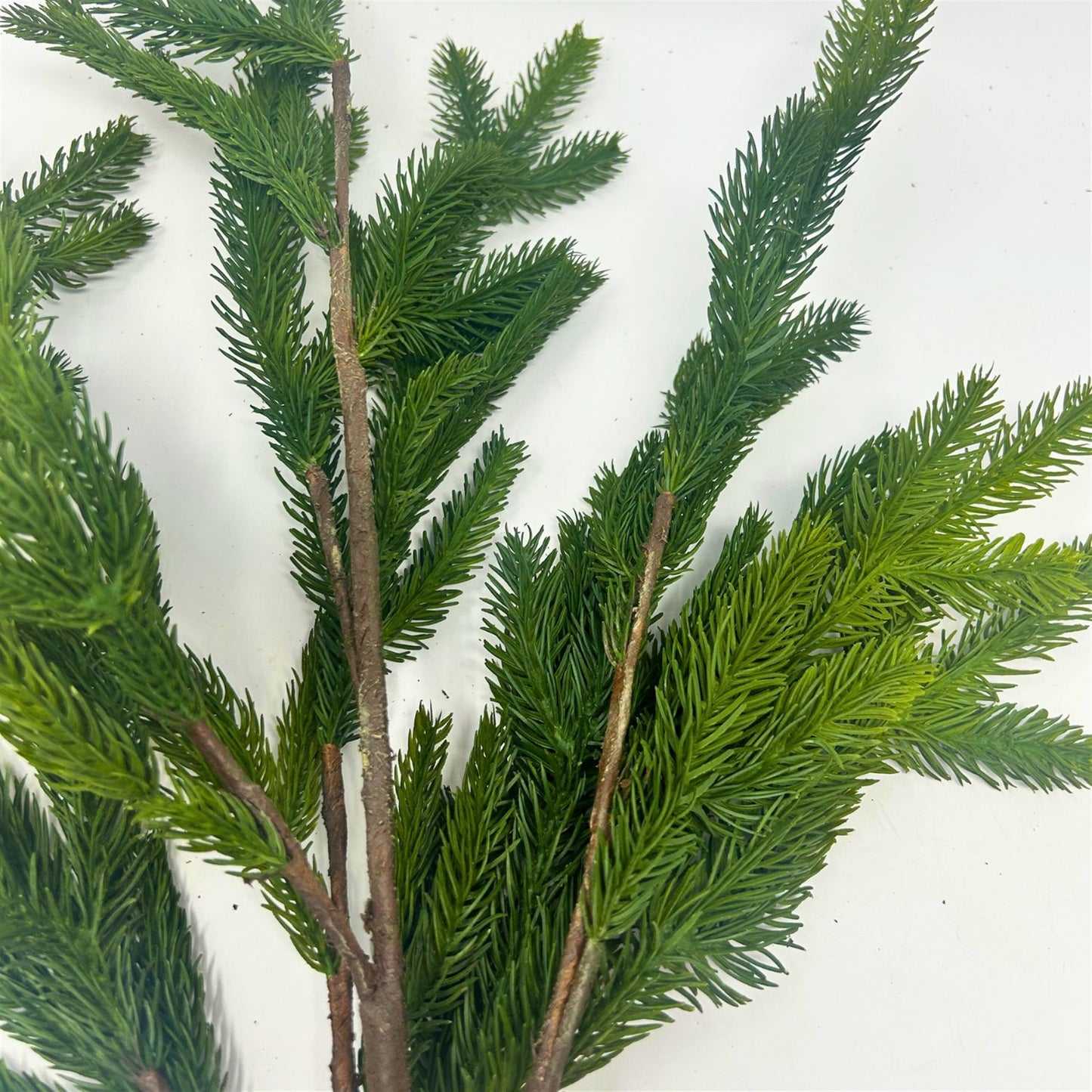 Real Touch Tall Norfolk Pine Branch 36" | XJ