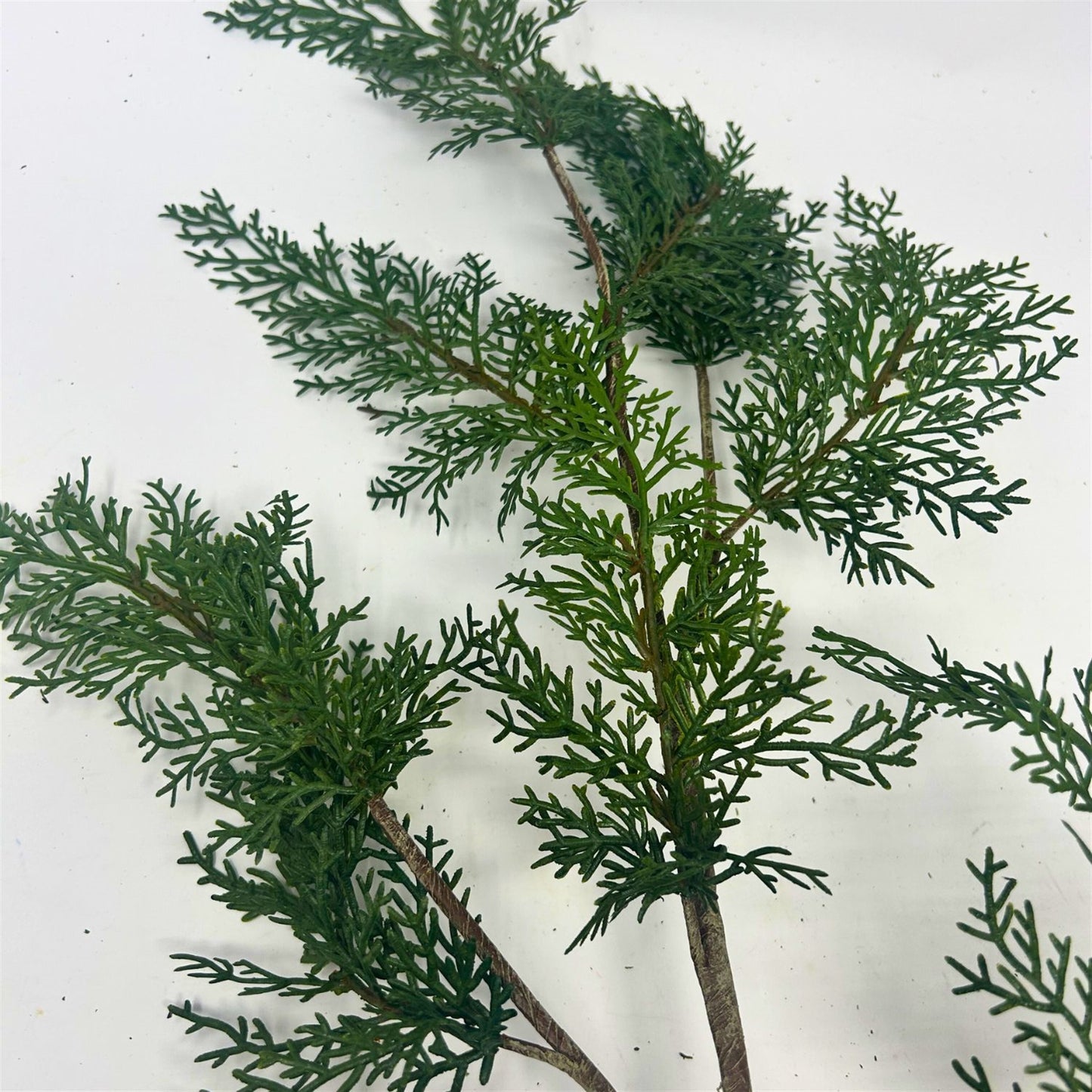 Real Touch Eastern Red Cedar Spray 39.5" | XJ