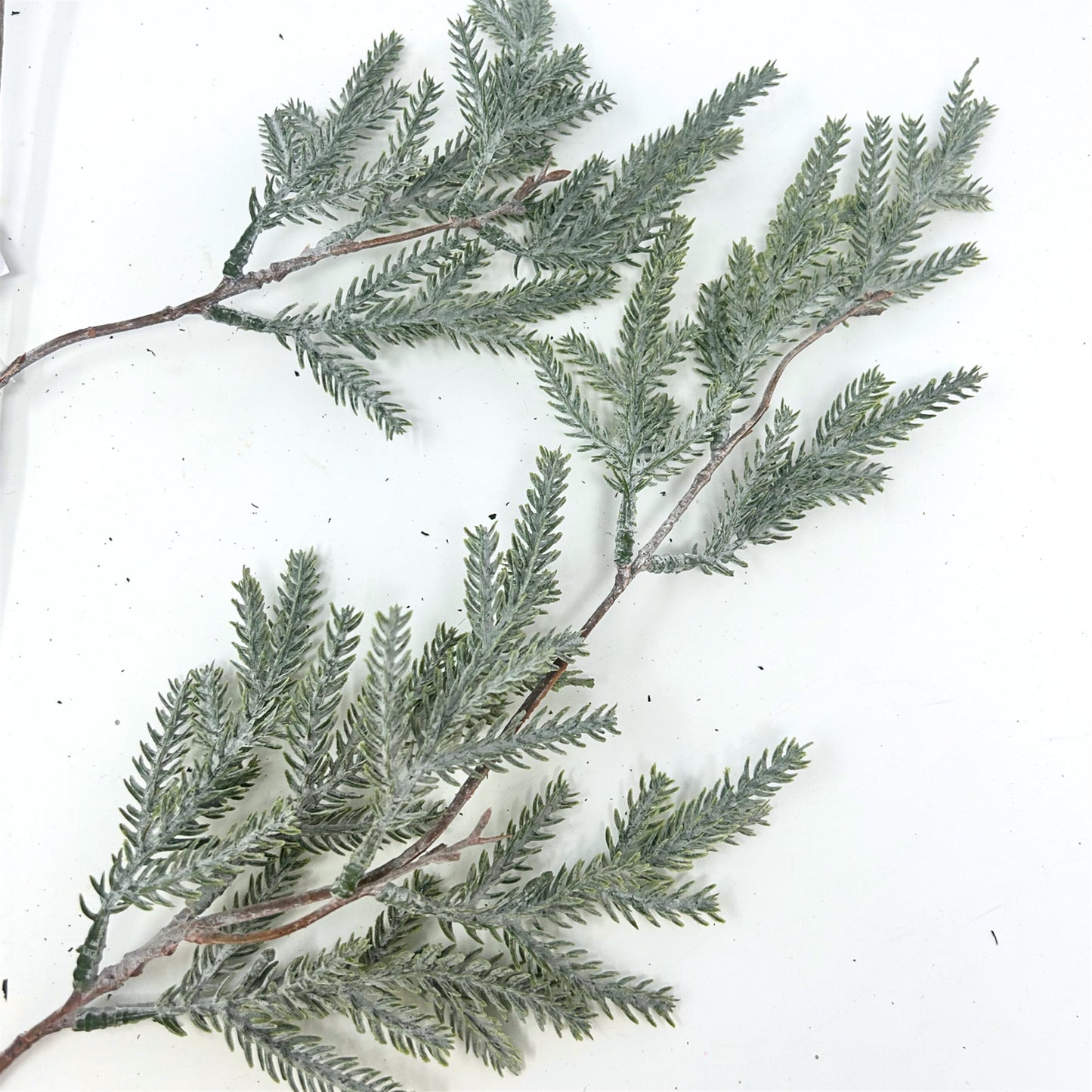 Mini Highland Spruce Vine - Grey/Green 43" | XJ