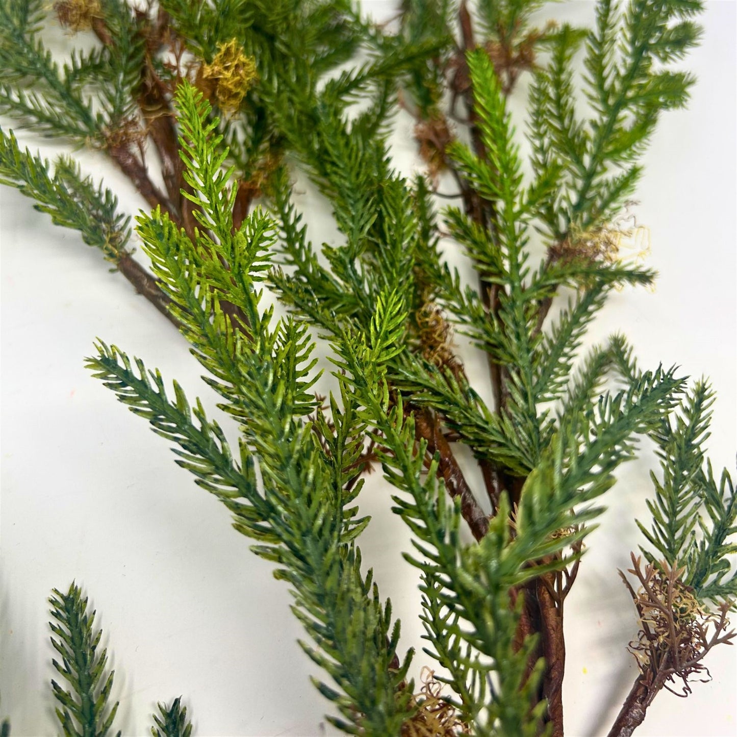 Isle Of Skye Norfolk Pine Branch 48" | XJ