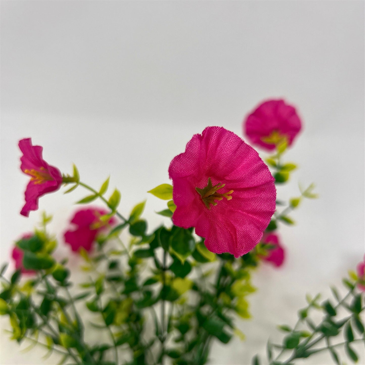 Mini Morning Glory Bunch 14" - Red/Purple