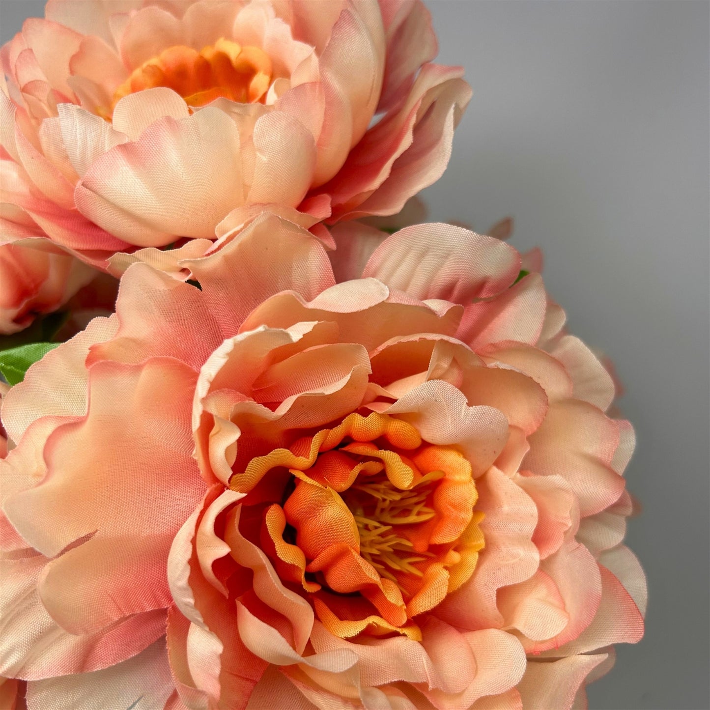 Large Peony Bush x7 - Coral 18" | CZE