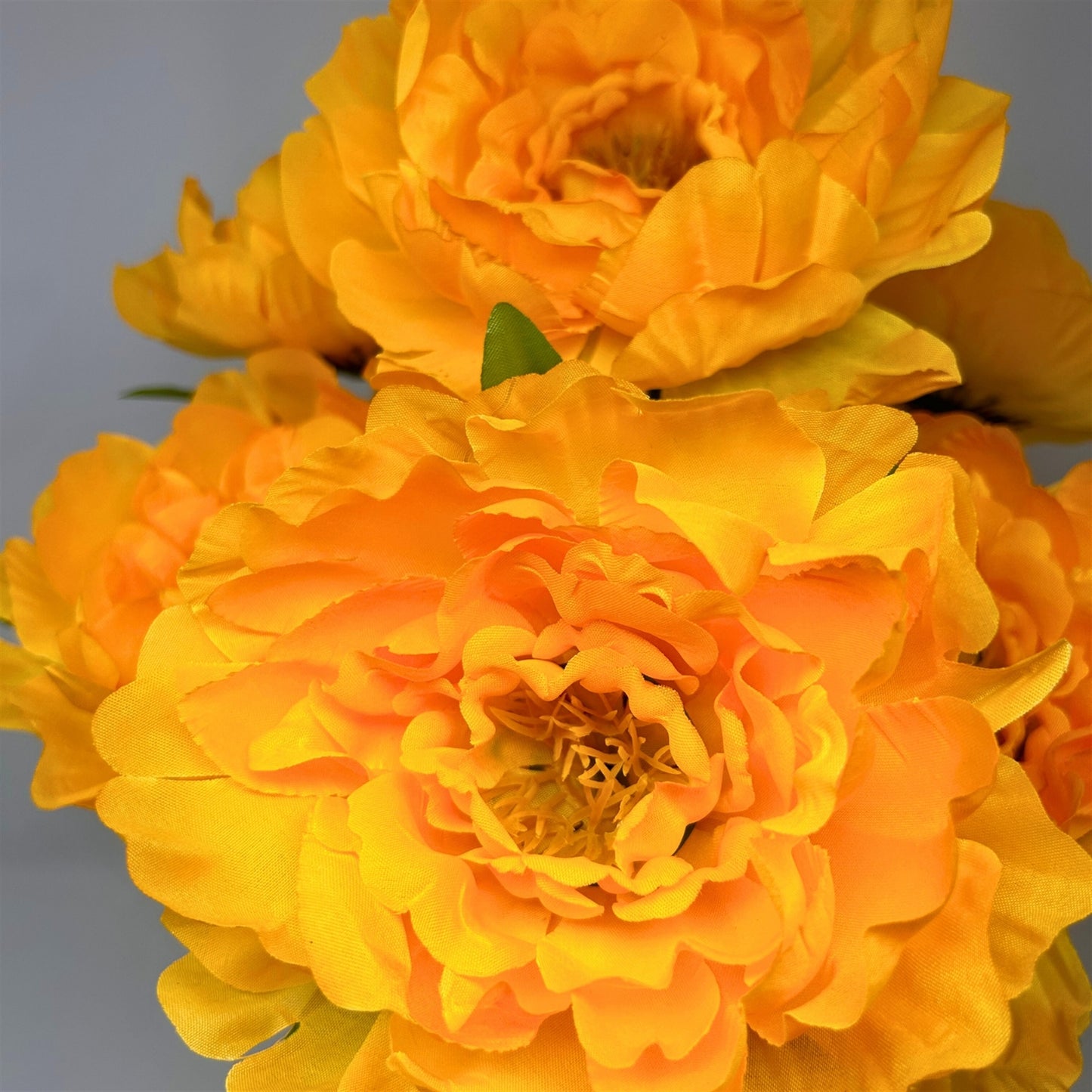 Large Peony Bush x7 - Gold/Yellow 18" | CZE