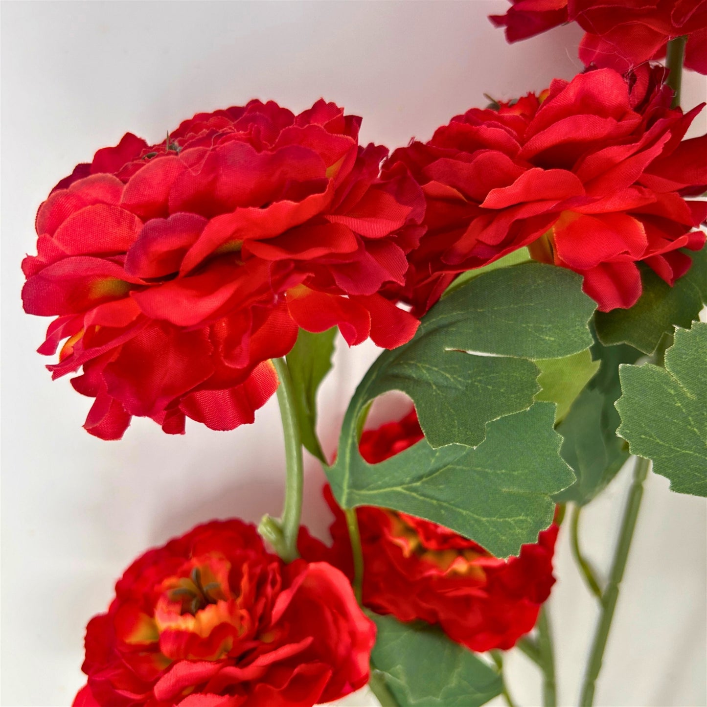 Ruffled Ranunculus Bush x9 - 21" Tomato Red | GTE