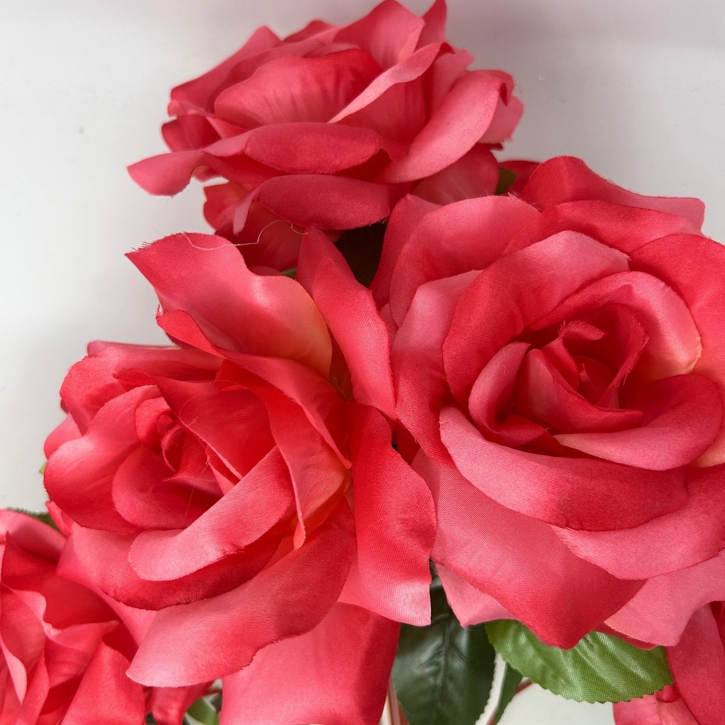 Large Garden Rose Bush x9 - 21" Tall 6" Flower - Pink | GTE
