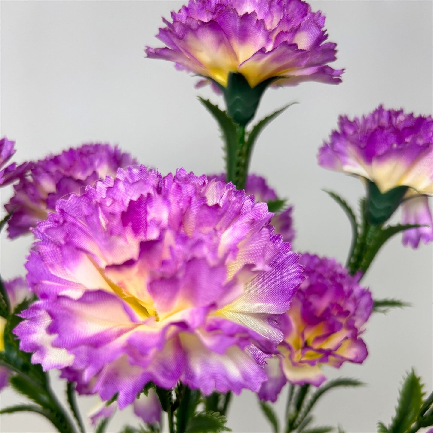Carnation Bush x7 w/ 14 Heads - 17" Purple | GTE