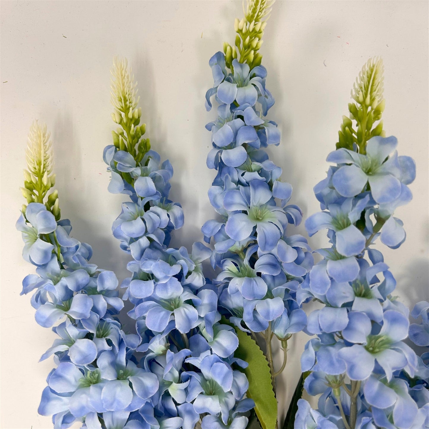 Veronica Spike Bush x5 - Blue - 23" | GTE