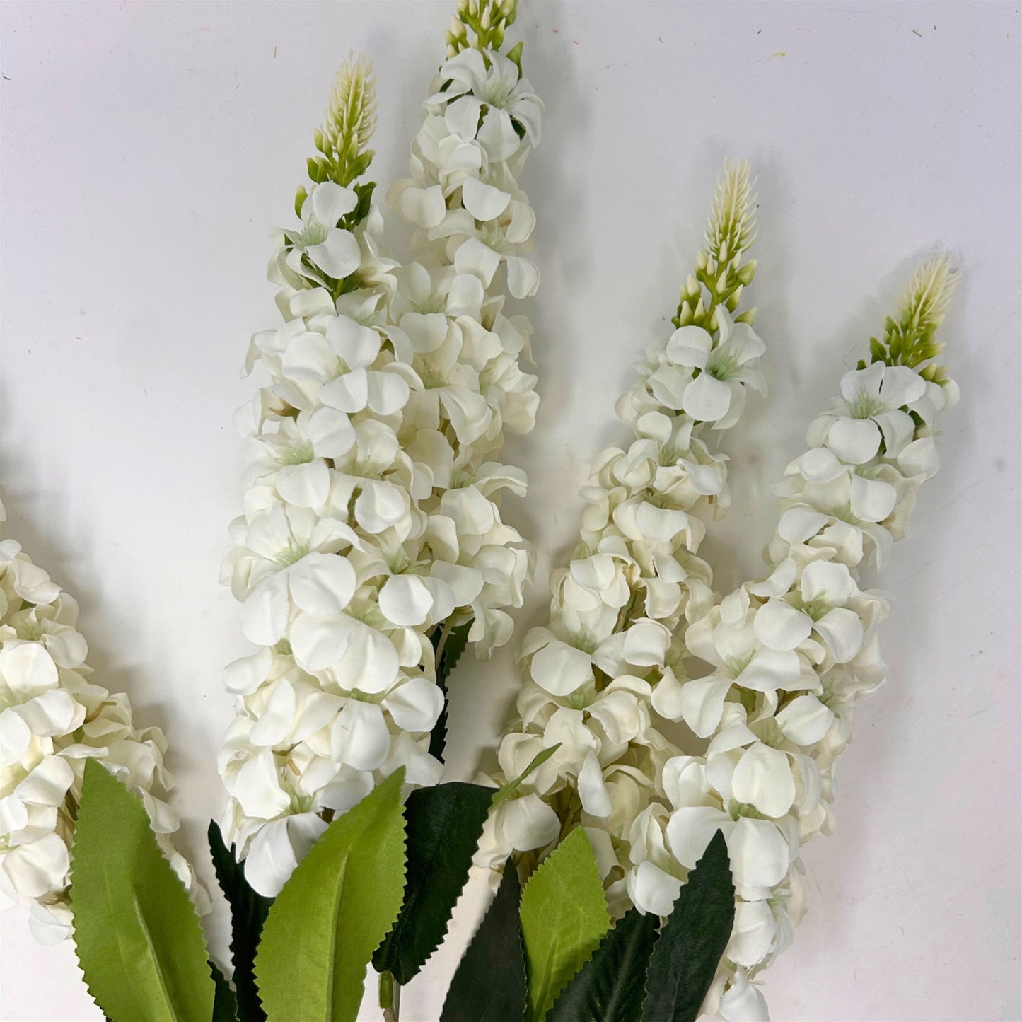 Veronica Spike Bush x5 - Cream - 23" | GTE