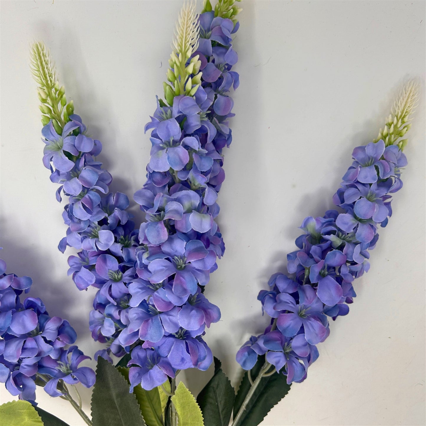 Veronica Spike Bush x5 - Periwinkle - 23" | GTE