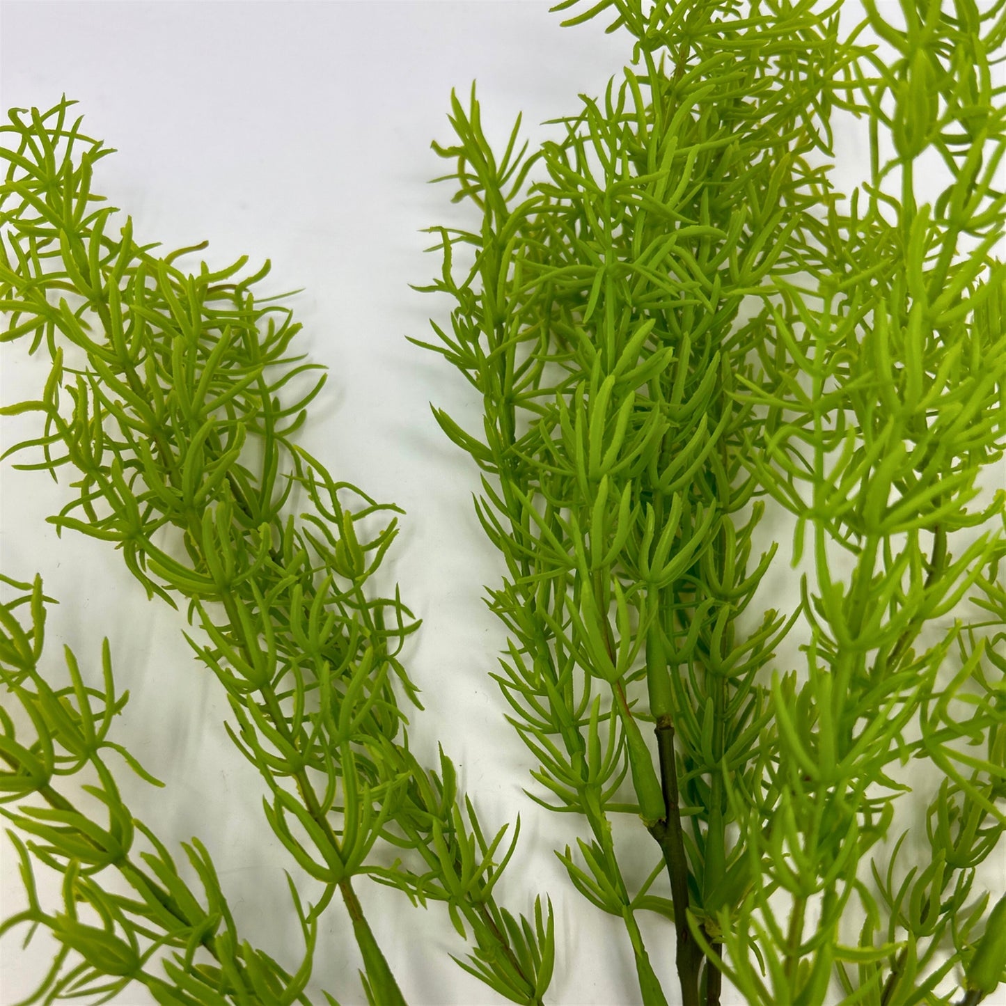 Water Grass Bush - Light Green - 18" | GTE