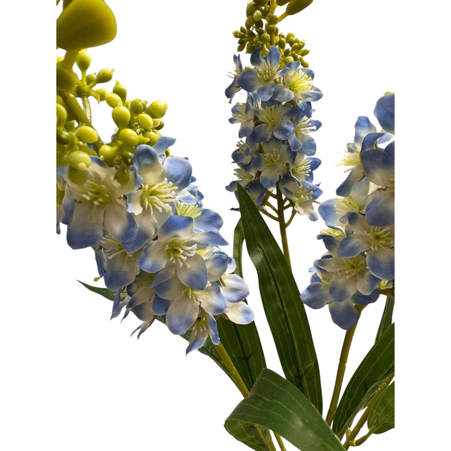 Hyacinth Bush x5 Blue - 21" | GTE