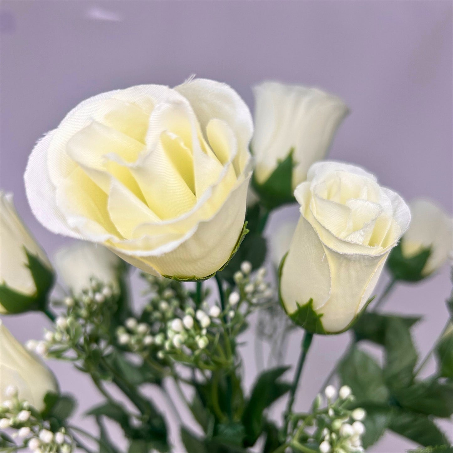 Rose Bud Bush x18 w/ Filler 18" - Cream | GTE