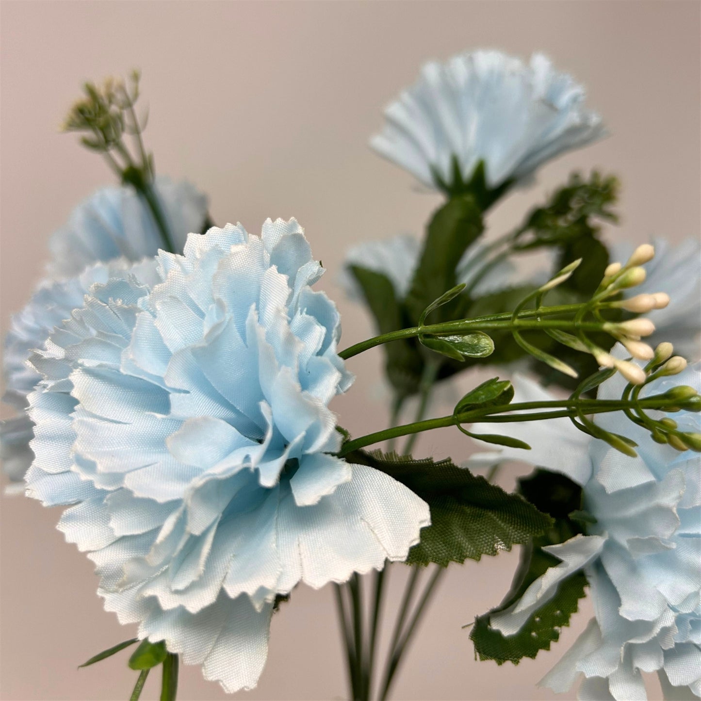 Carnation Bush x7 - Light Blue 13" | GTE