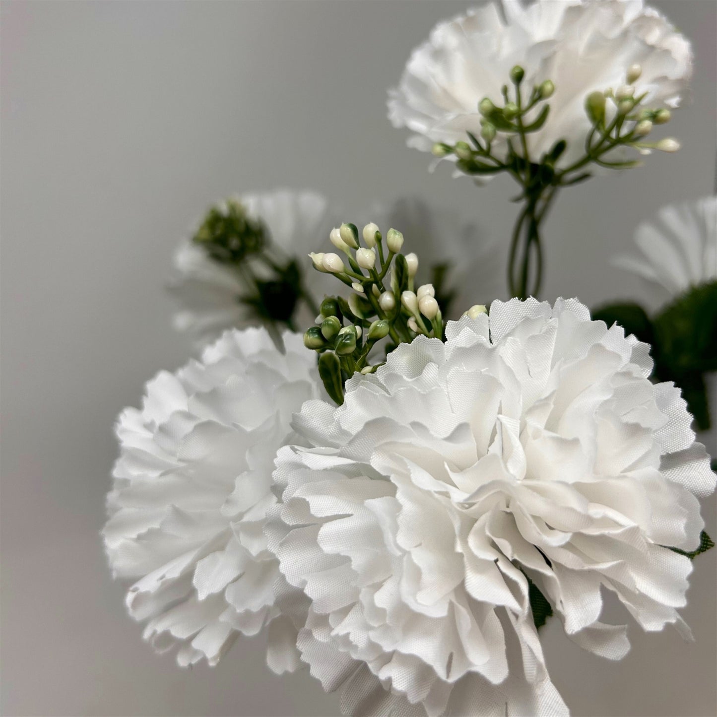 Carnation Bush x7 White - 13" | GTE