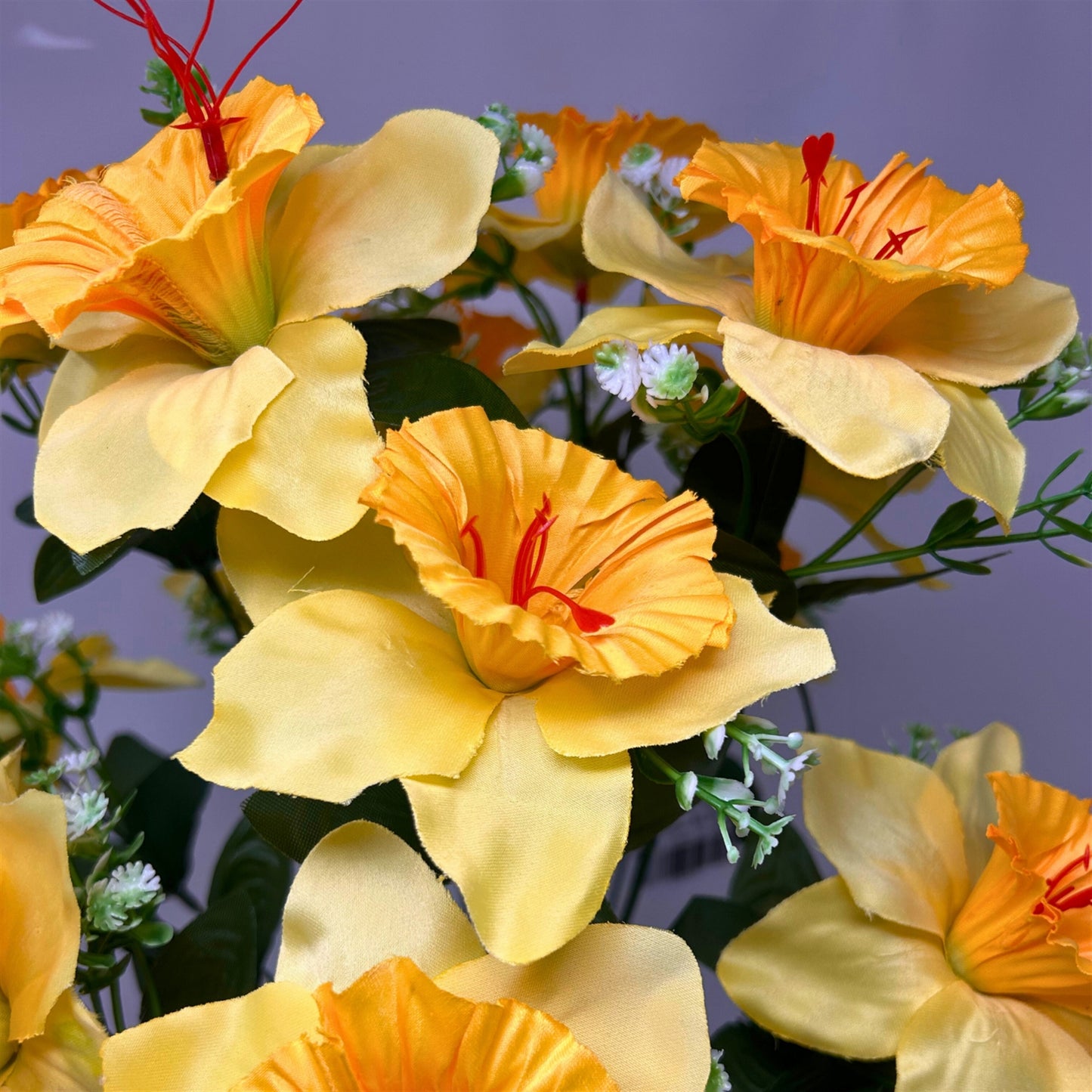 Daffodil Bush x14 - Yellow | SXE