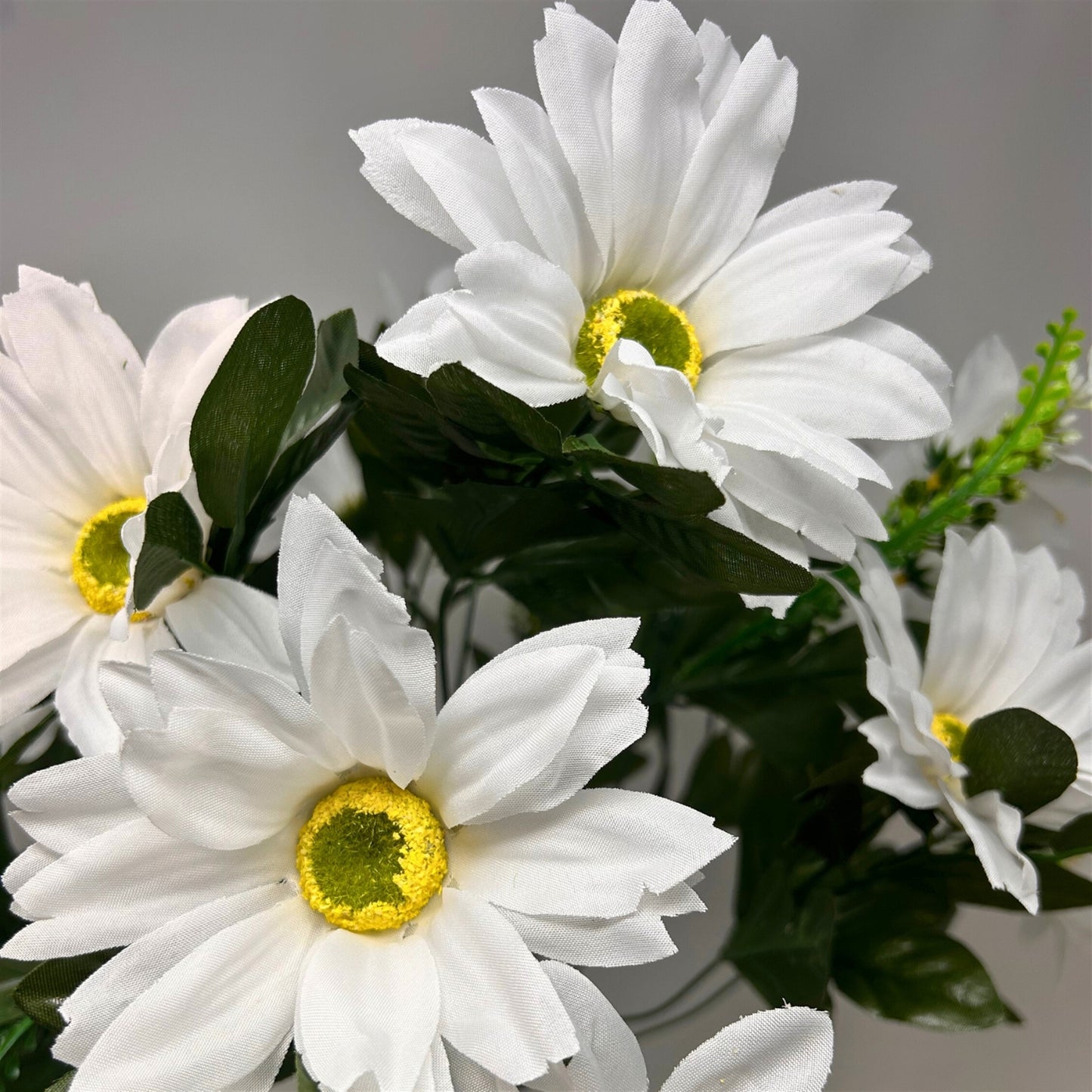 Gerbera/Orchid Bush x18 - White | SXE