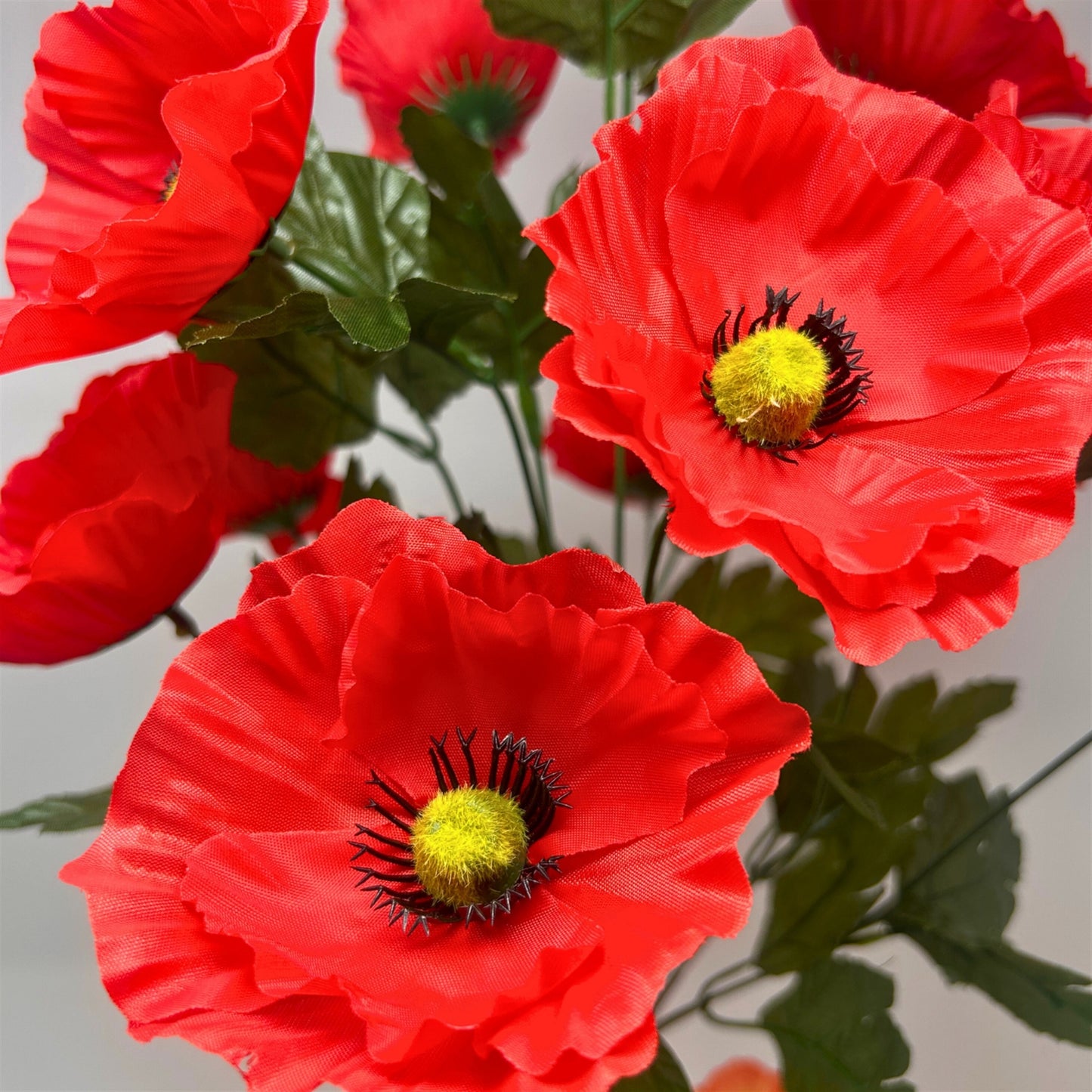 Poppy Bush x14 - Red | SXE