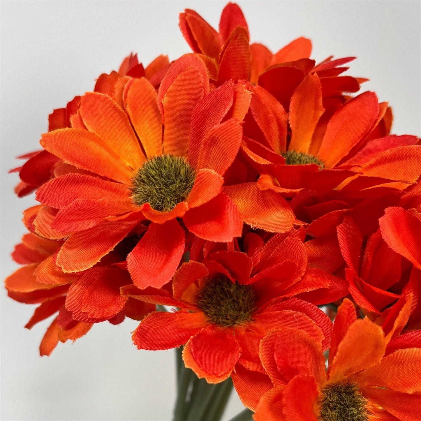 Delightful Daisy Bouquet - 12" x9 - Orange | GT