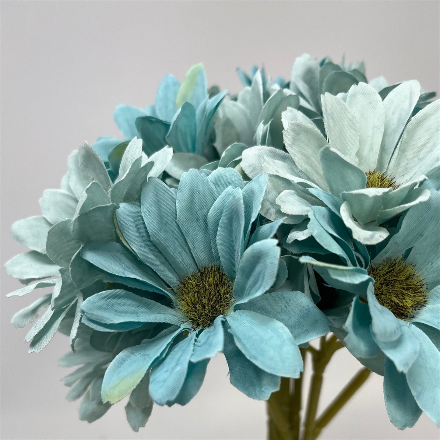 Daisy Bundle x9 - 11.5" - Aqua | GT