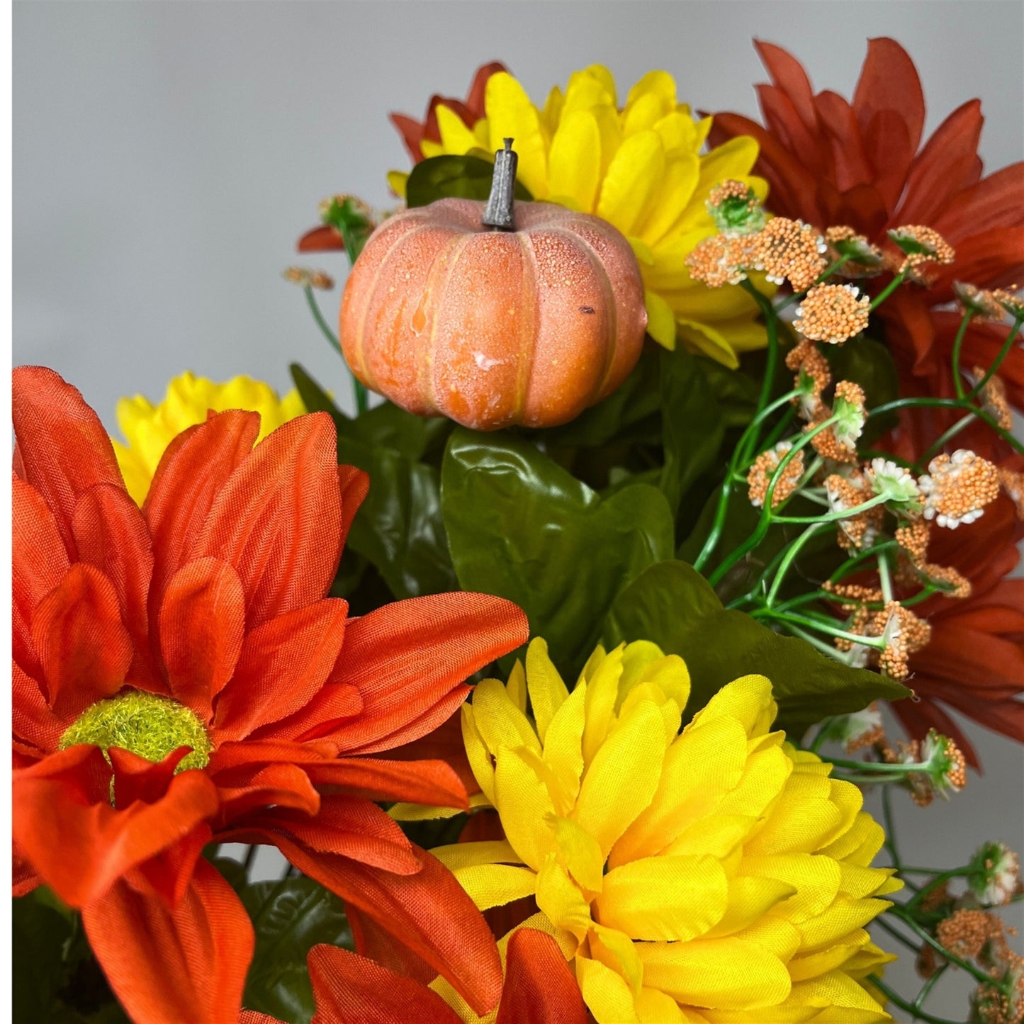 Fall Dahlia/Mum x 24 Mixed Bush 22"