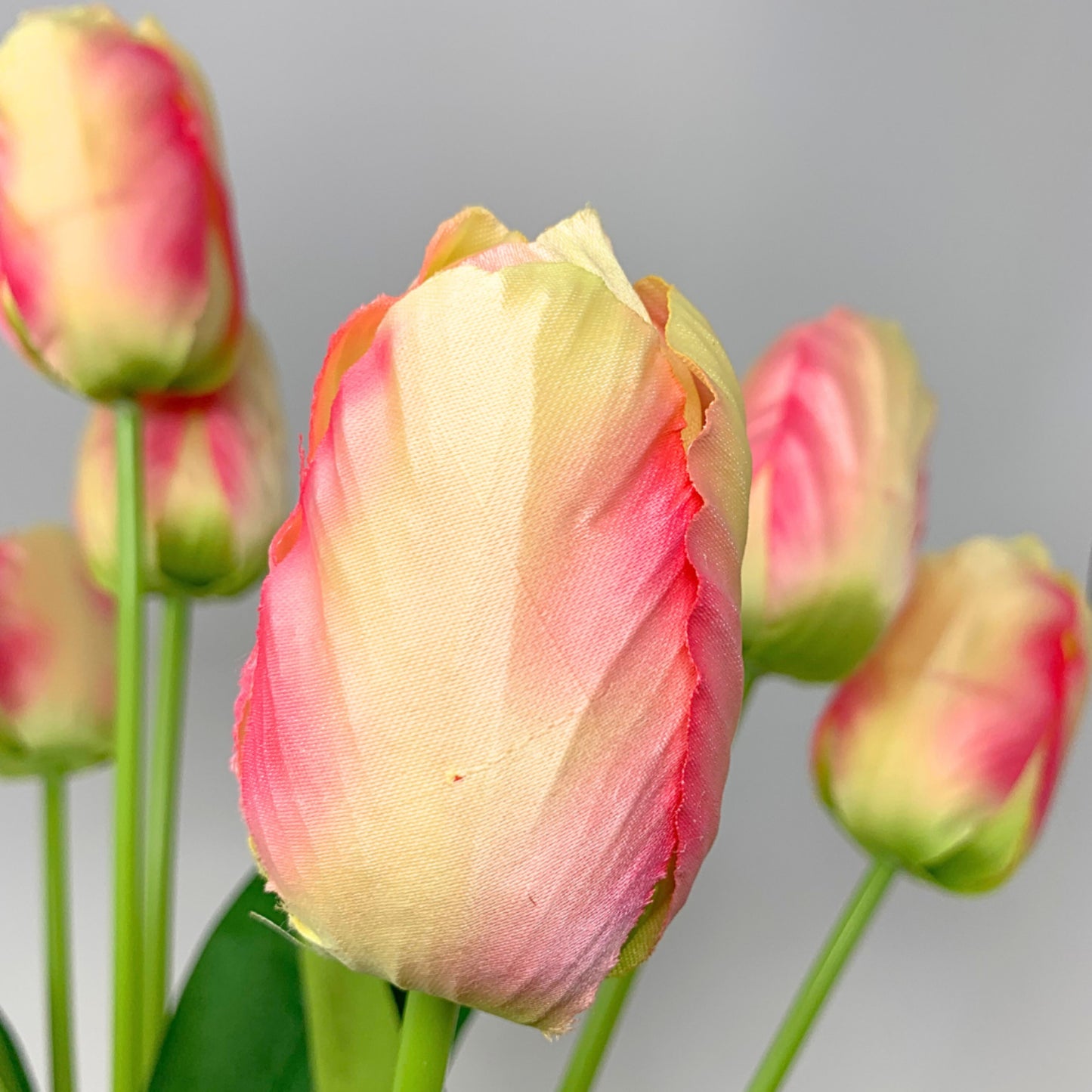 Floral Market Tulip Bush x 9 - Cream/Pink 20" | YSE