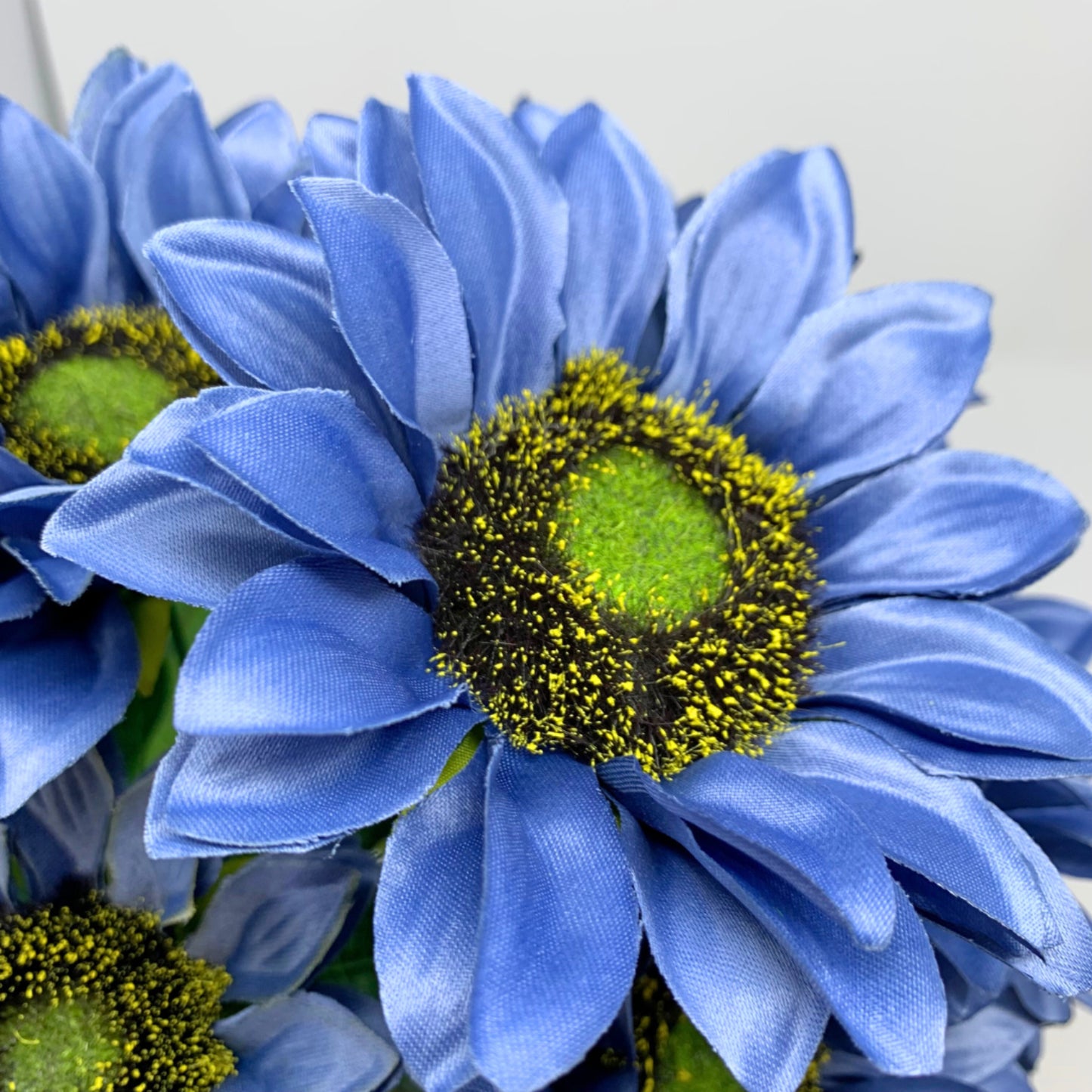 Radiant Sunflower Bush x 10 - Blue 16" | YS