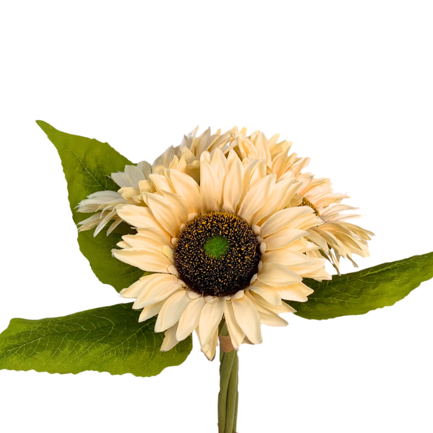 Kansas Sunflower Bundle x 4 - Soft Cream 13" | YSE