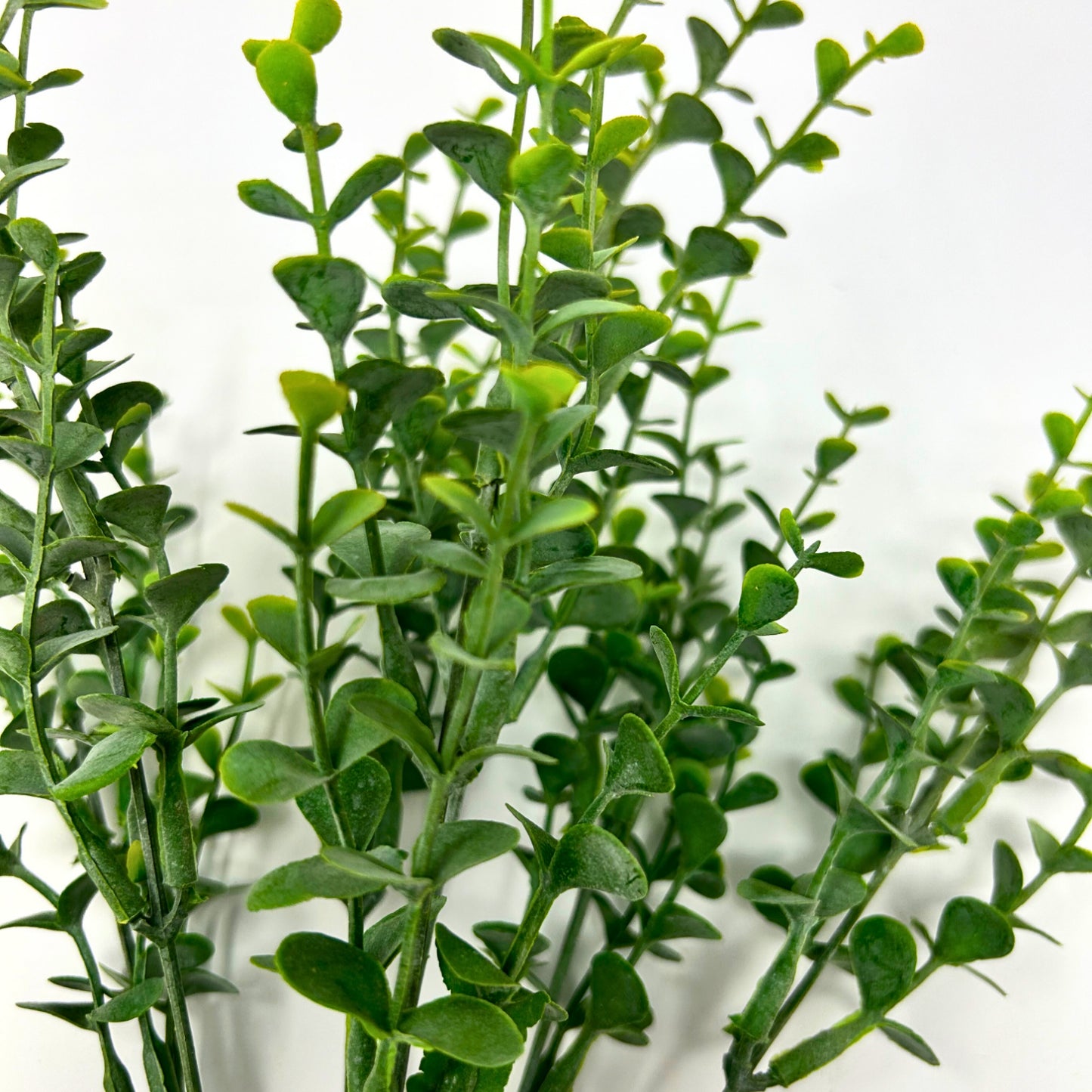 Mini Eucalyptus Bush - Two Tone/Green 14" | YSE