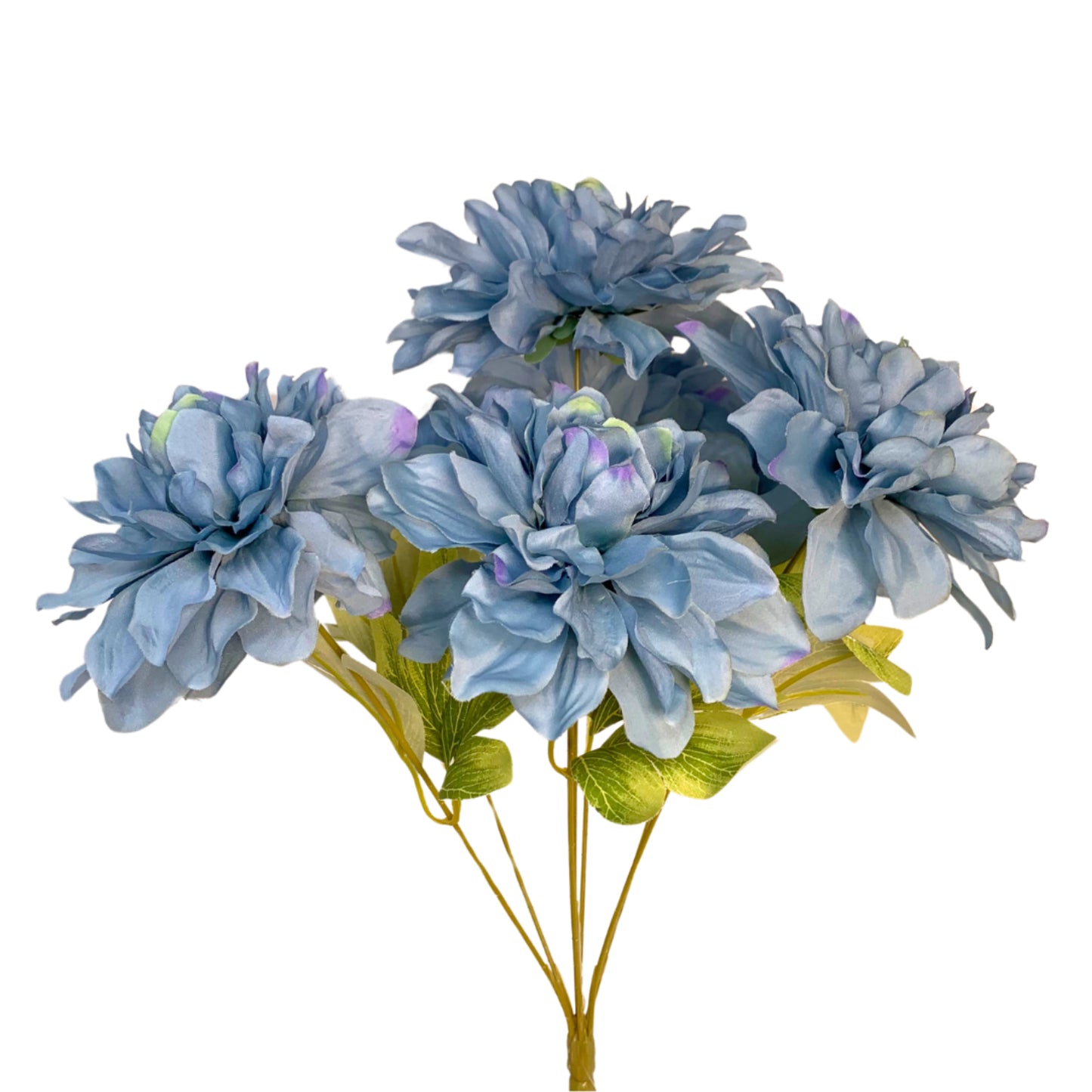 Open Garden Peony Bush x 7 - Blue 16" | YSE