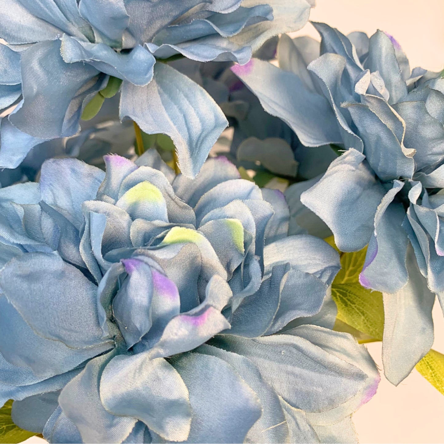 Open Garden Peony Bush x 7 - Blue 16" | YSE