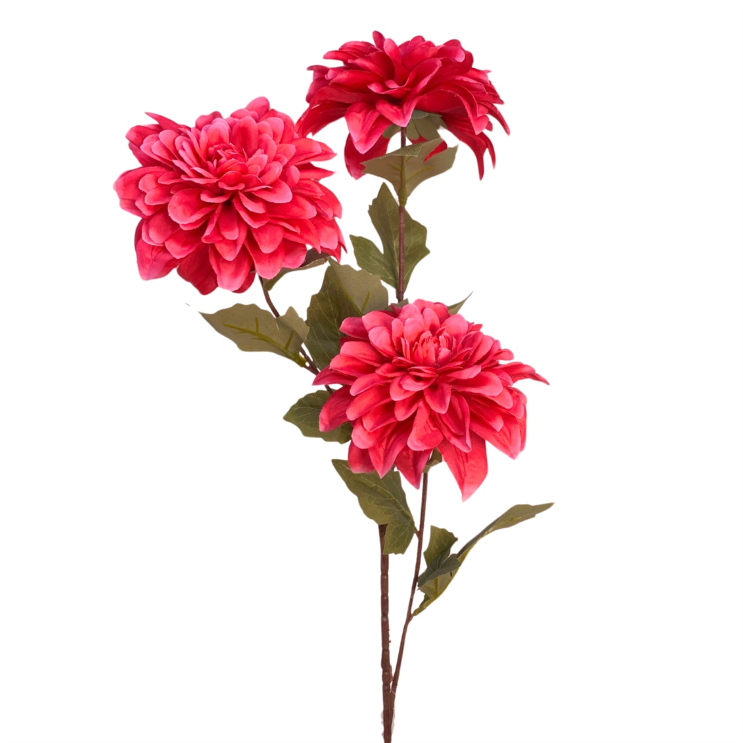 Flower Market Dahlia Stem x 3 - Beauty 33" | YSE