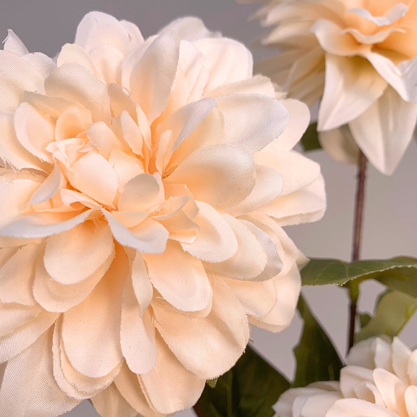 Flower Market Dahlia Stem x 3 - Champagne 33" |YSE