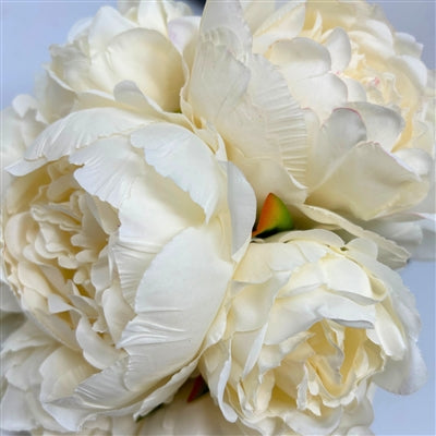 Perfect Peony Bouquet x7 - 11" - Cream | YS
