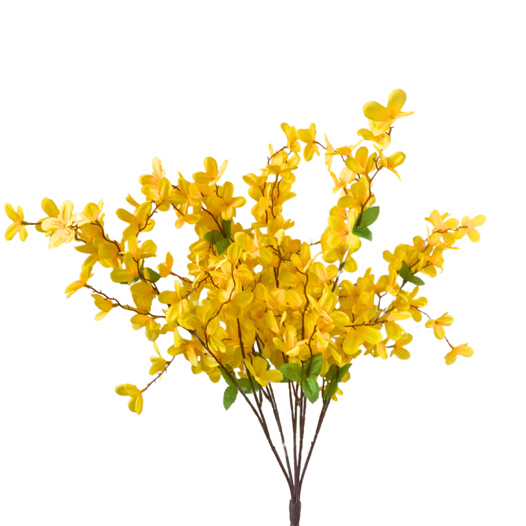 Tweedia Bush x5 - 24" - Yellow | BYE