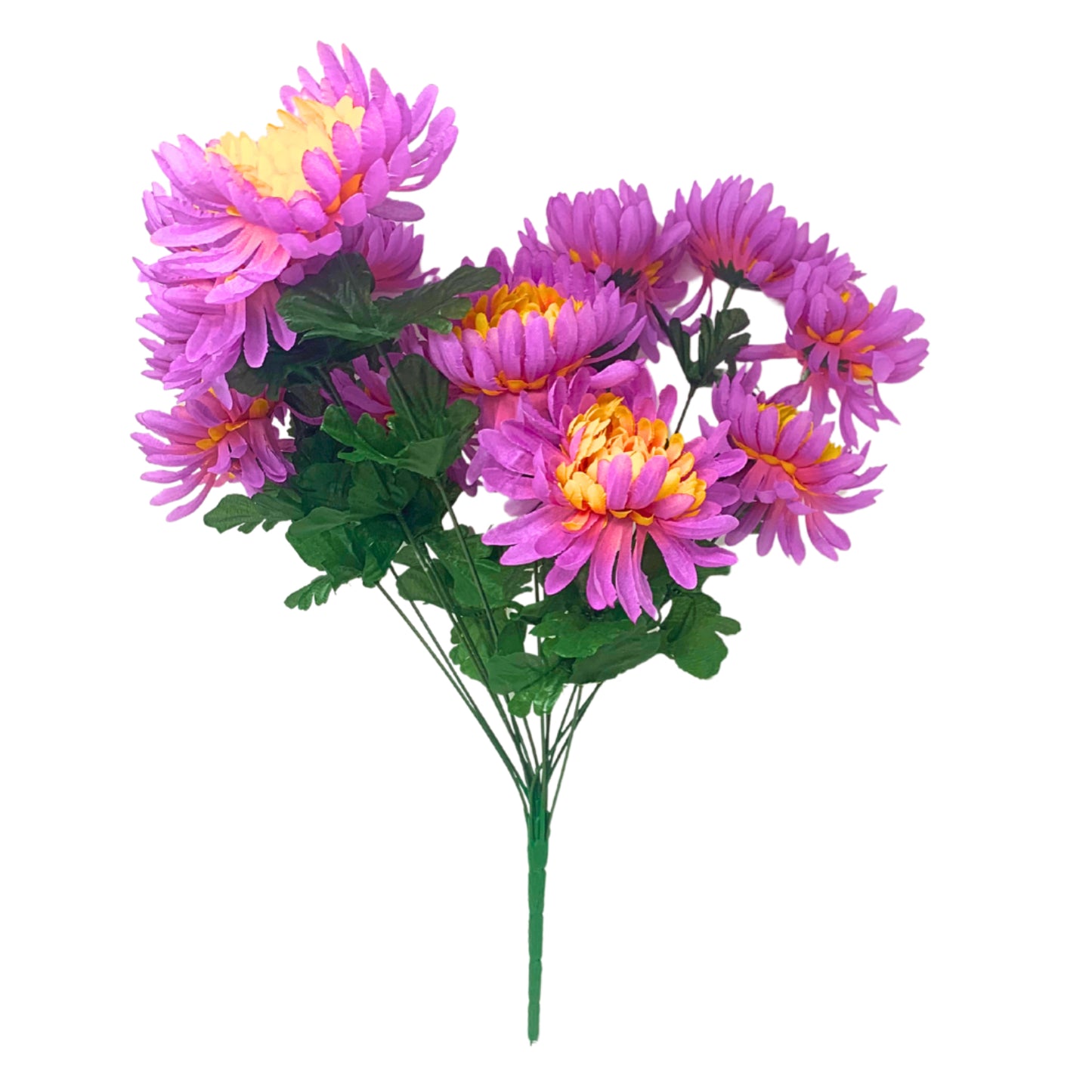 Tropical Mum Bush x 14 - 19” - Purple/Yellow |BYE