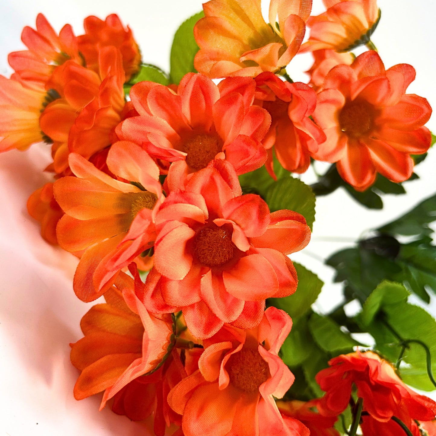 Chrysanthemum Bush (18”) x 14 Orange