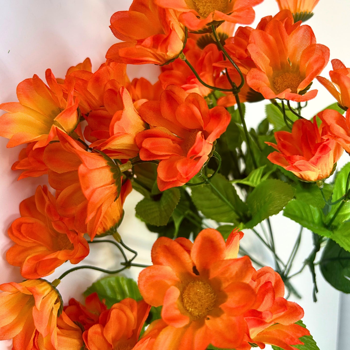 Chrysanthemum Bush (18”) x 14 Orange