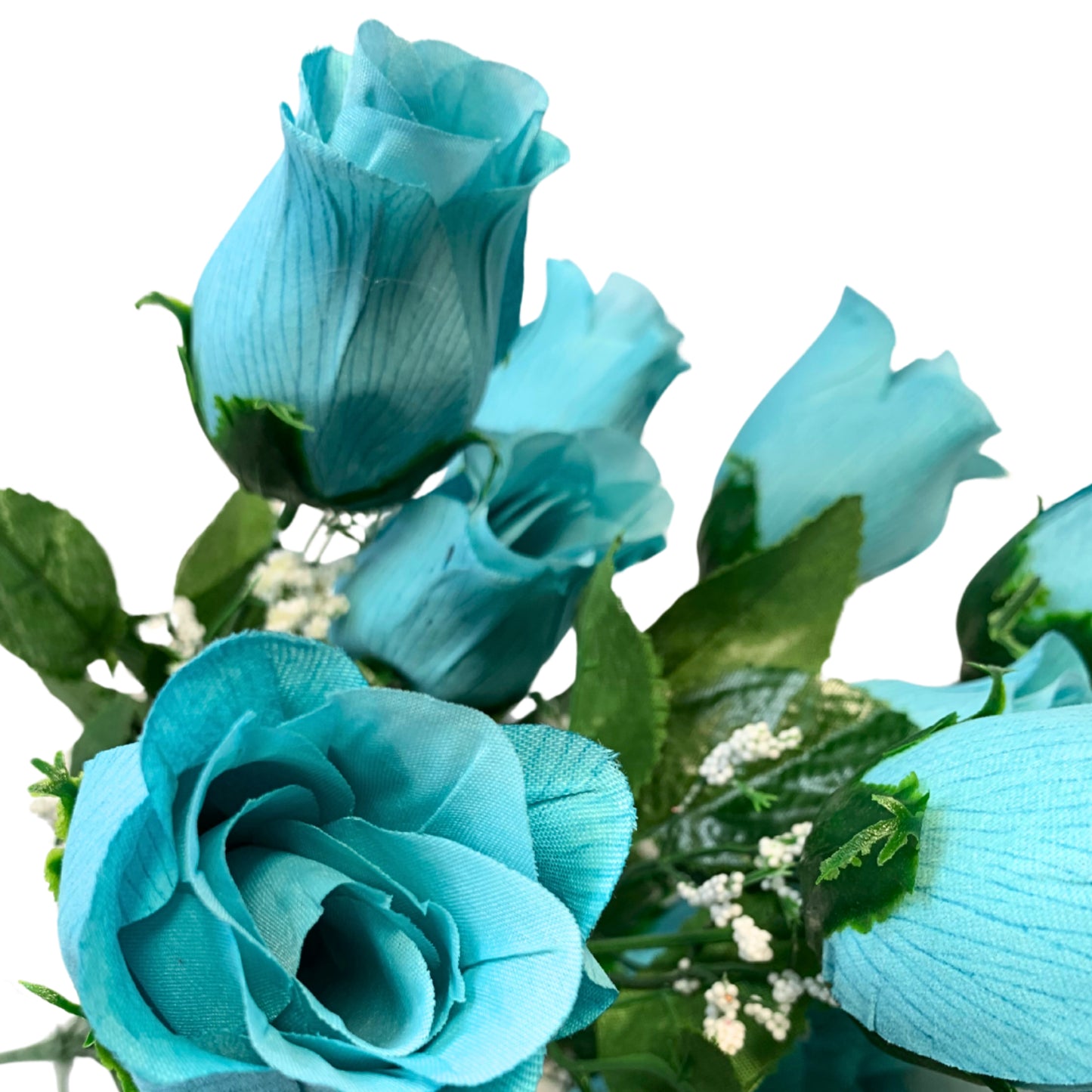 Veined Rose Bush x 14 buds | Aqua