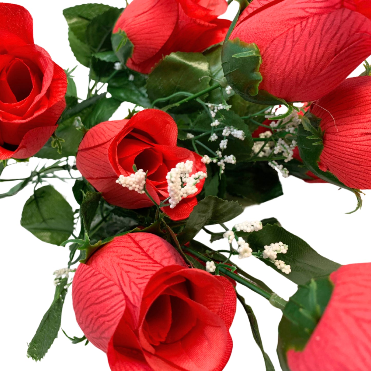 Veined Rose Bush x 14 Buds | Beauty