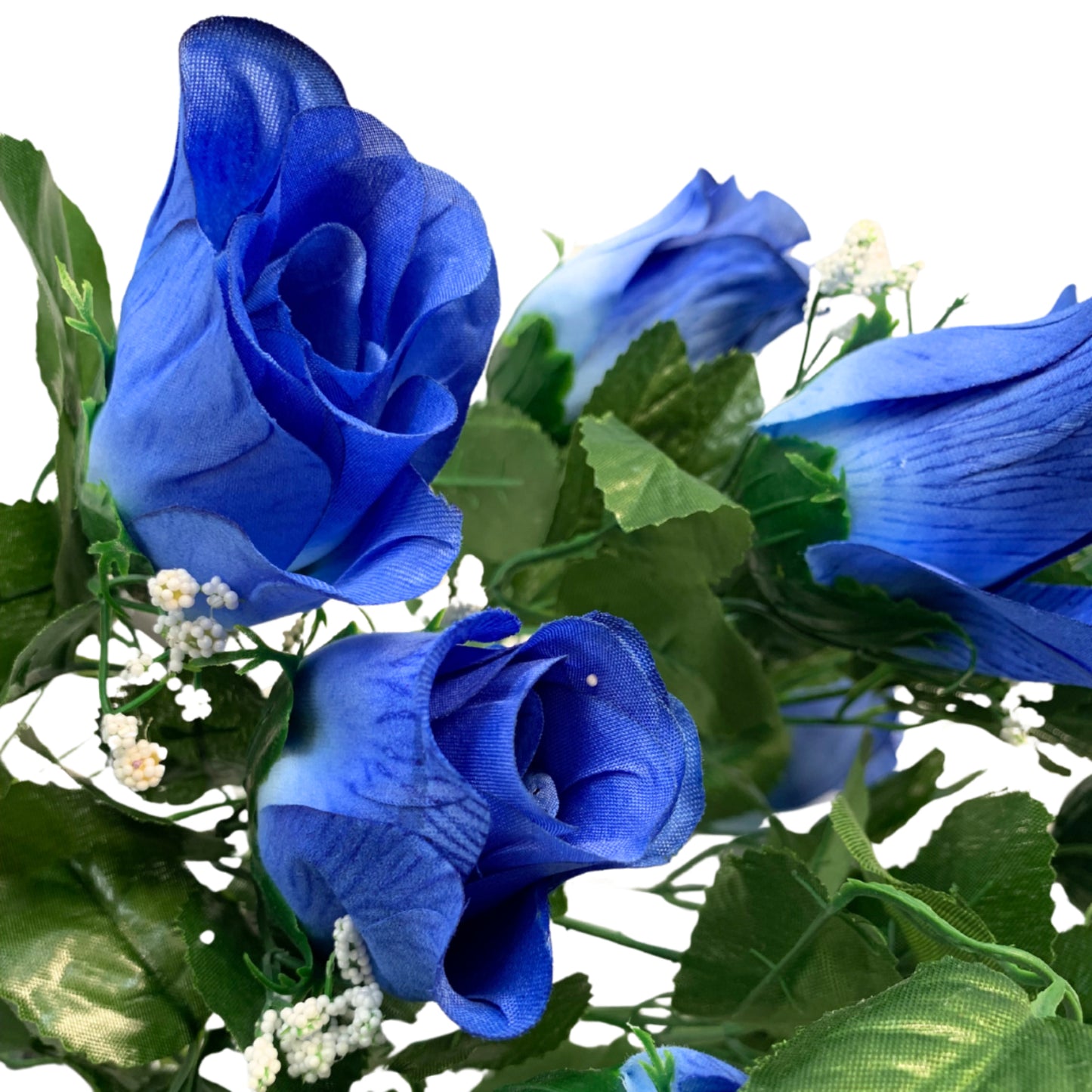 Veined rose bush x 14 with Gyp Deep Blue