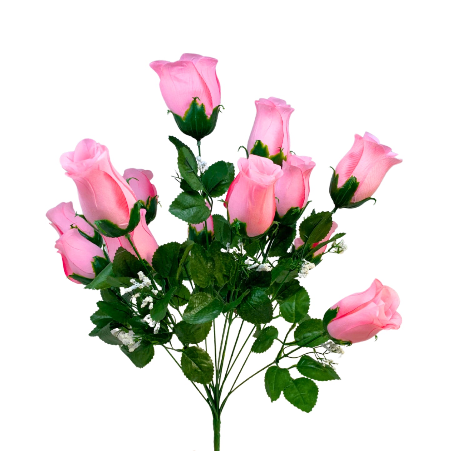 Veined rose bush x 14 buds | Pink