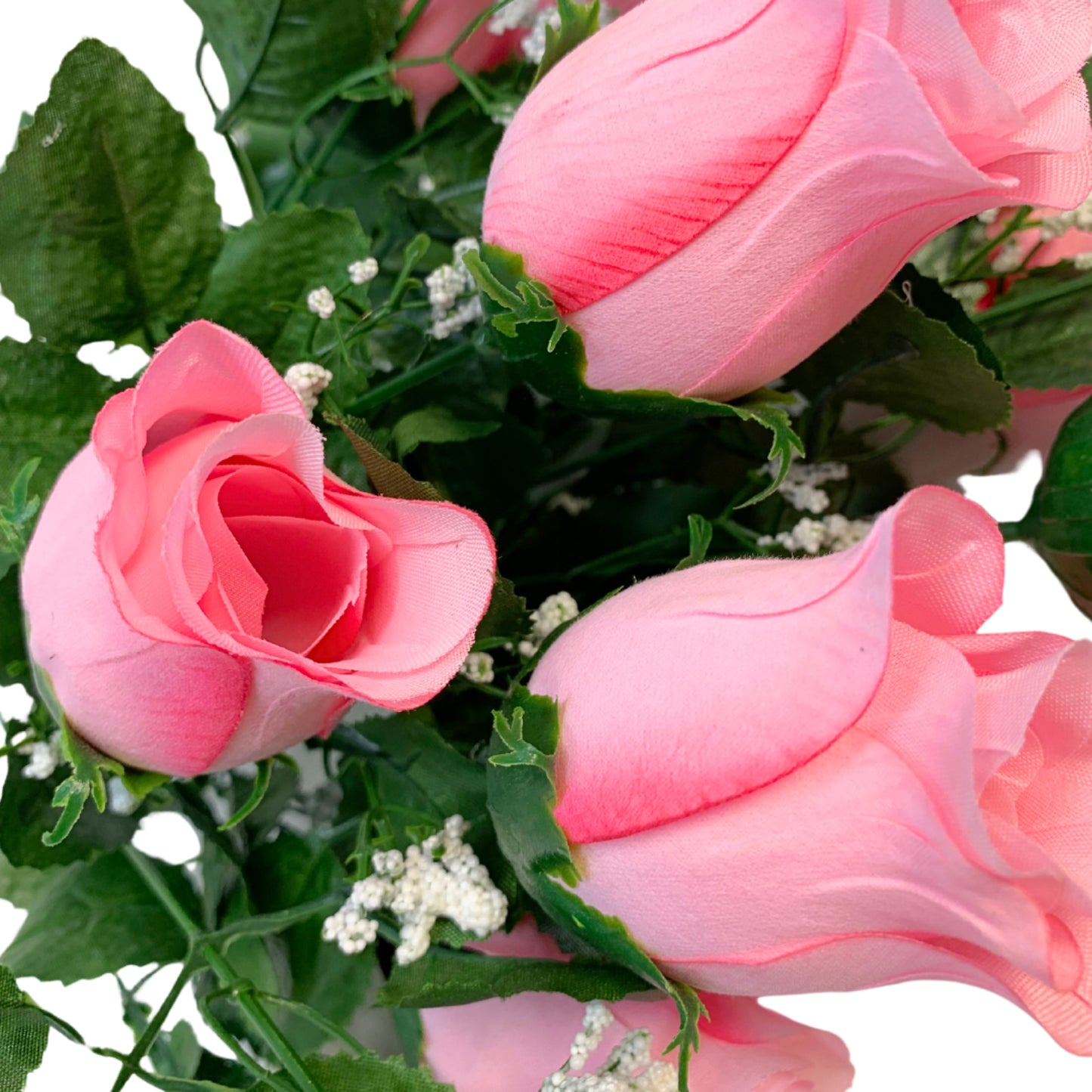 Veined rose bush x 14 buds | Pink